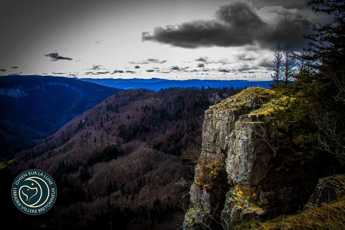 Lapiaz : quand le Jura révèle ses failles